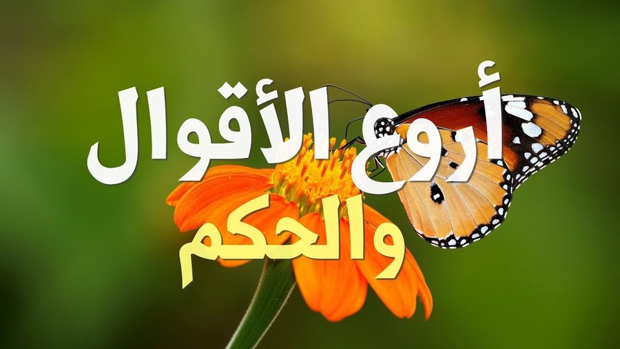 أقوال البابا فرنسيس التي ستغير حياتك للأبد