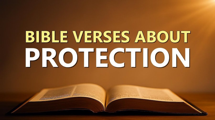 Bible Verses about Protection What Does the Bible Say?