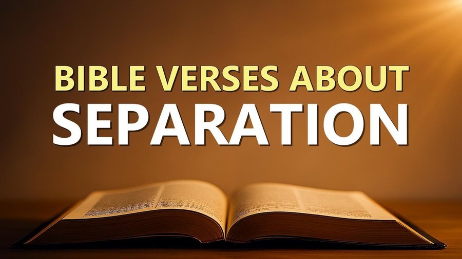 Bible Verses about Separation What Does the Bible Say?