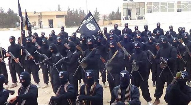 الإسلام كاتبة مسلمة تعلن عن إقتراب نهاية الإسلام كاتبة مسلمة تعلن عن إقتراب نهاية الإسلام