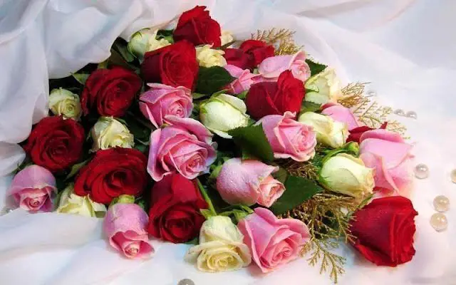 Roses Have a Magic Language in the Expression of Feeling