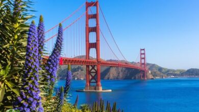 جسر البوابة الذهبية (Golden Gate Bridge) قصة وعبرة