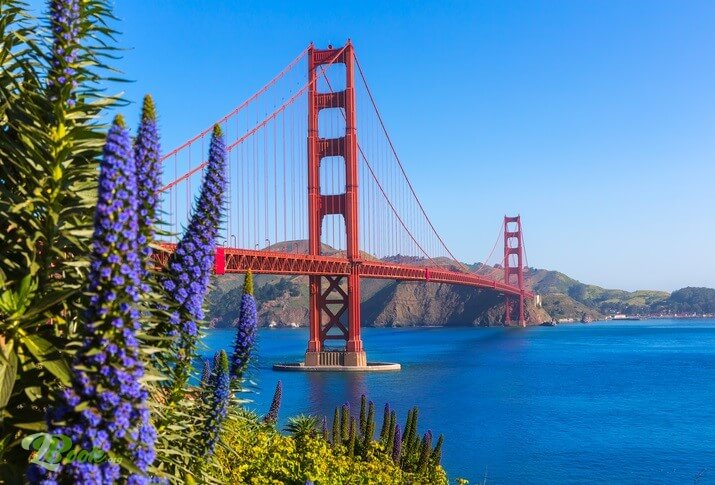 جسر البوابة الذهبية (Golden Gate Bridge) قصة وعبرة