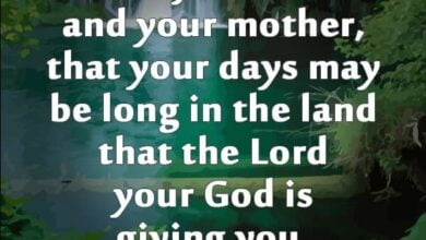 God’s Commandment Says, Honor Your Father and Your Mother