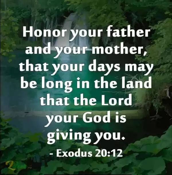 Gods Commandment Says, Honor Your Father and Your Mother