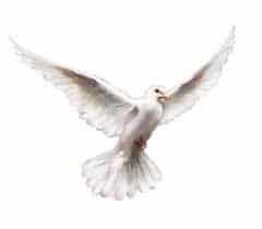 Novena to the Holy Spirit - Catholic Prayers