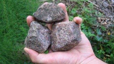 throwing-stones
