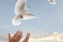 Prière pour La Paix, Seigneur Apprends-Nous à Gagner La Paix