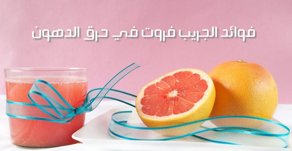 فروت لحرق الدهون نصائح مفيدة لحرق الدهون وإنقاص الوزن بطرق طبيعية وفعالة نصائح مفيدة لحرق الدهون وإنقاص الوزن بطرق طبيعية وفعالة