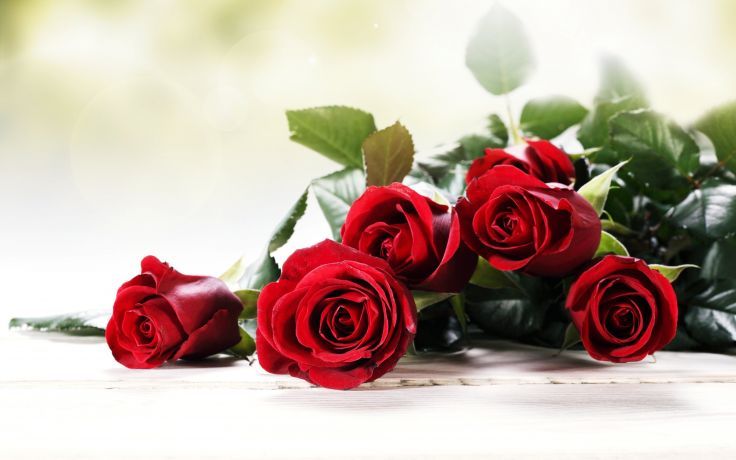 Who Is St. Valentine & What Is The Truth of Valentine's Day