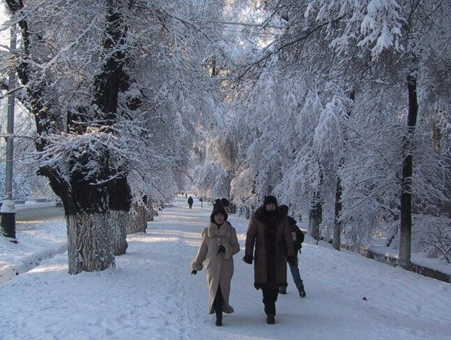 Prevention of Influenza and Diseases in the Cold Winter