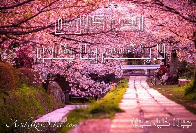 لا ينقسم ولا يقاس أجمل أربعين حكمة من أقوال وروائع الفيلسوف جبران خليل جبران أجمل أربعين حكمة من أقوال وروائع الفيلسوف جبران خليل جبران