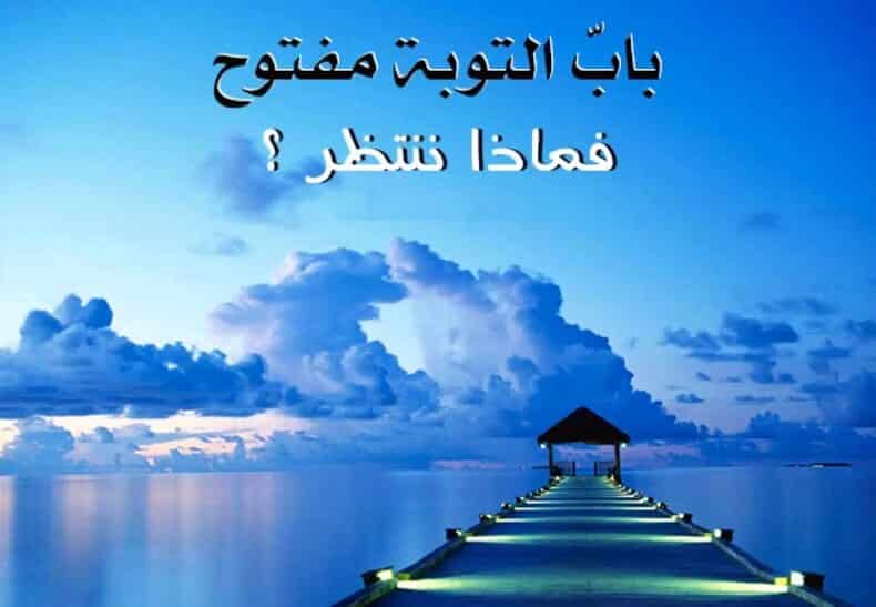 أقوال قداسة البابا شنودة الكثير من المواضيع في حياة الإنسان - التوبة