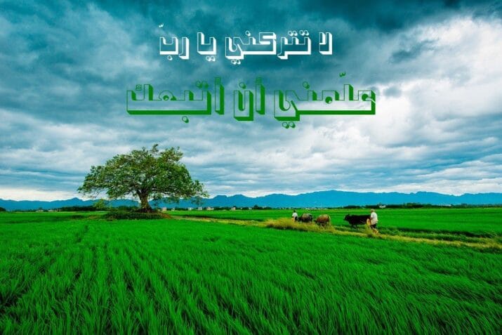 يا رب علمني كيف أتبعك وساعدني كي أسير على دربك