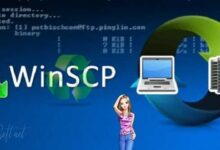 Download WinSCP 2021 Upload Website Files To Your Hosting