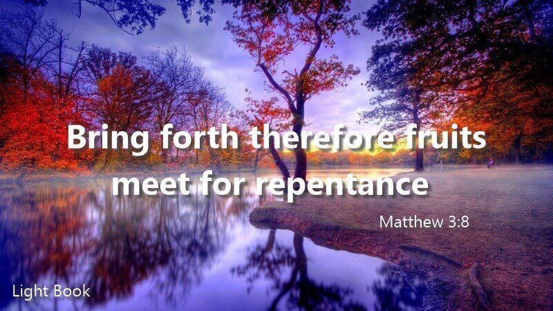 Matthew 3:8 