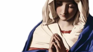 Our Lady of Salvation Novena to Solve Problems