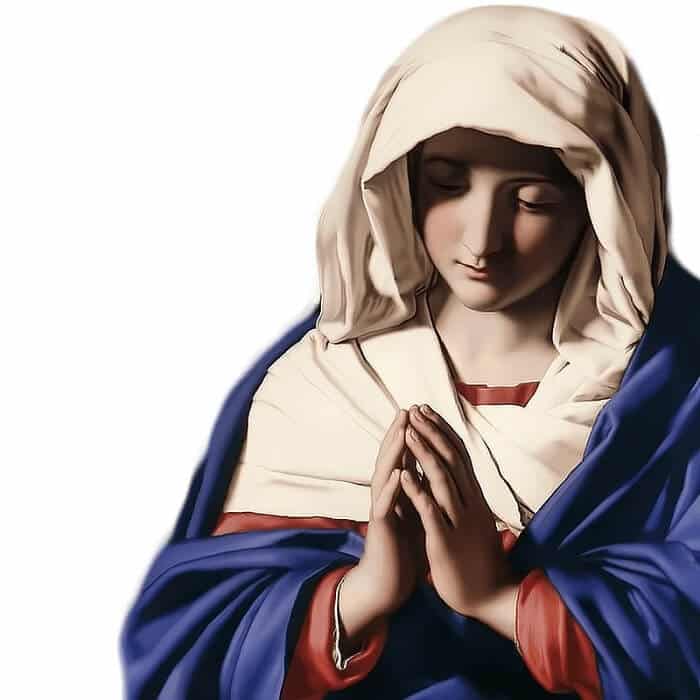 Our Lady of Salvation Novena to Solve Problems