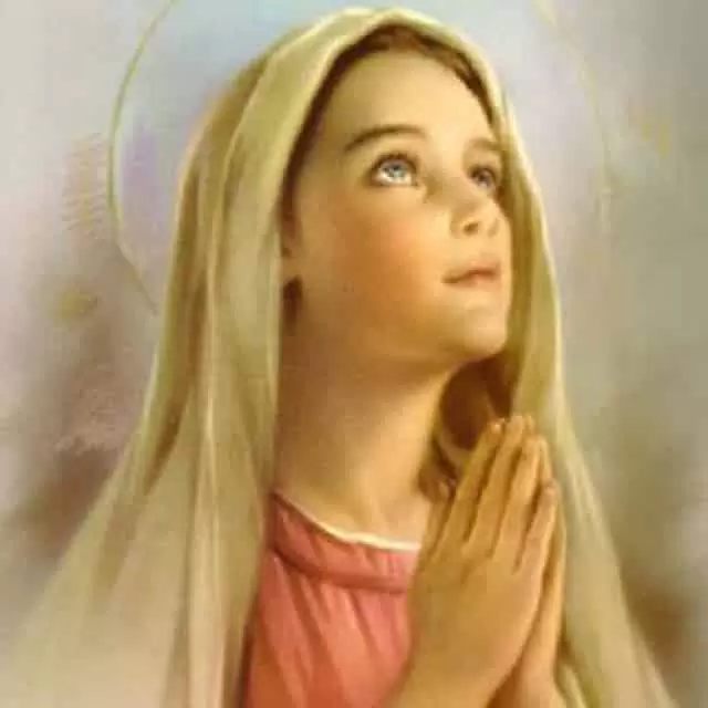 Our Lady of Salvation Novena to Solve Problems