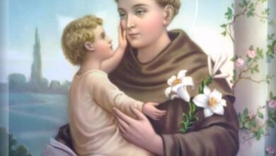 Chaplet of Saint Anthony of Padua - Stay with Me, O Lord