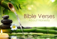 Bible Verses about Honesty - What Does the Bible Say?