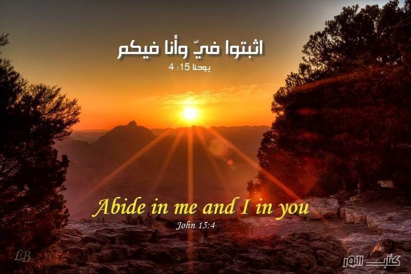 Abide in me, and I in you 