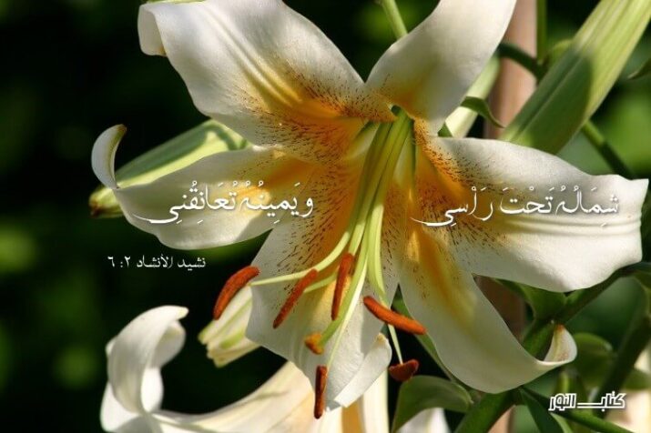 آيات حول الزواج والجنس Mariage et Sexe *آيات حول *الزواج و*الجنس *Mariage* et Sexe - عربي فرنسي