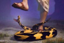 Gospel Verses about Resisting the Devil, What the Bible Say?
