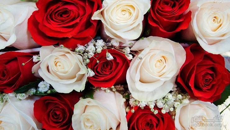 وردة حمراء و وردة بيضاء تزين قصر الحاكم ! إنها علامة من الله - قصة وعبرة