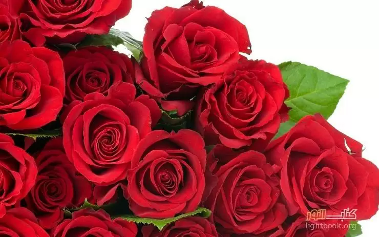 الورود تحمل لغة الجمال والزهور تنشر رائحة الحب - قصة وعبرة