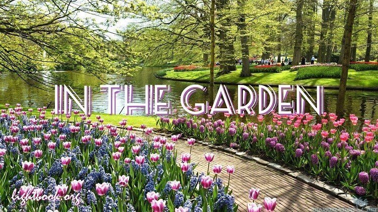 In The Garden - I Come to the Garden Alone - with Lyrics