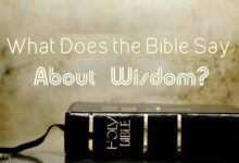 Bible Verses about Wisdom (English-Arabic)