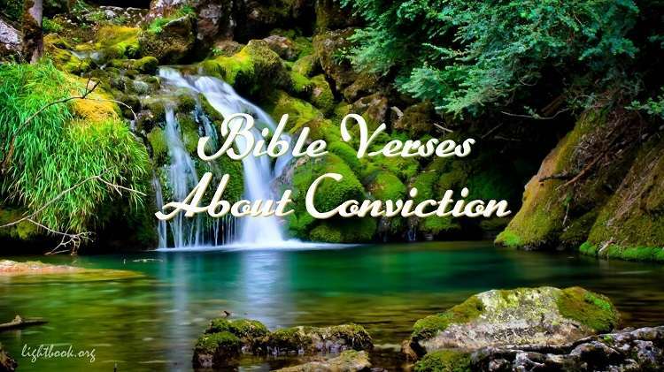 Gospel Verses about Conviction - What Does the Bible Say?
