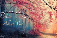 Bible Verses about Vice - What Does the Bible Say?