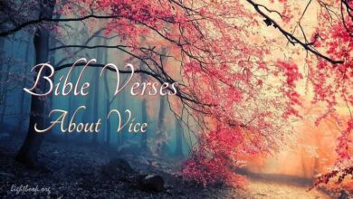 Gospel Verses about Vice – What Does the Bible Say?