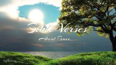Bible Verses about Peace ( 3 ) What Does the Bible Say?