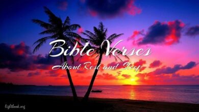 Gospel Verses about Rest and Sleep, What Does the Bible Say?