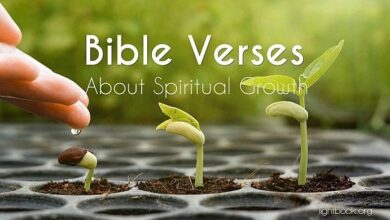 Gospel Verses about Spiritual Growth