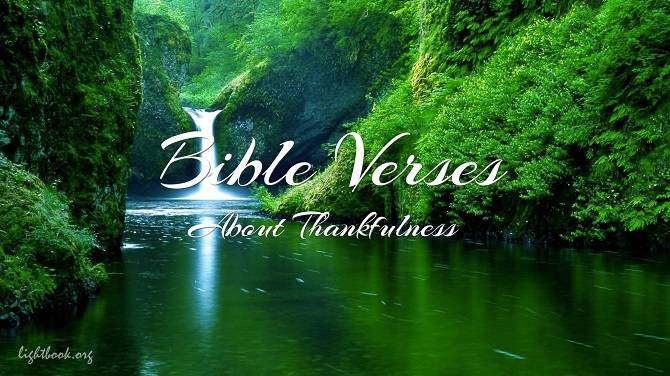 Bible Verses about Thankfulness - What Does Bible Say?