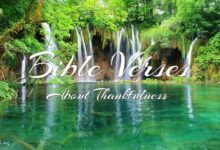 Bible Verses about Thankfulness ( 2 ) What Does the Bible Say?