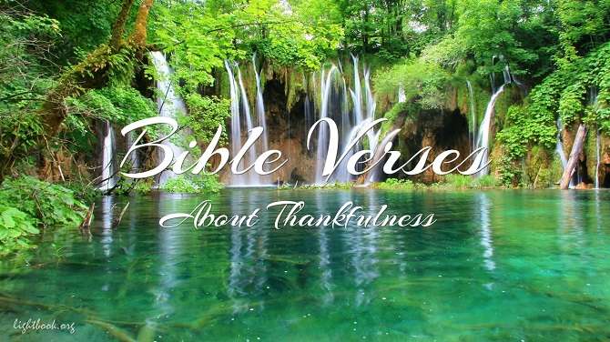 Bible Verses about Thankfulness ( 2 ) What Does the Bible Say?