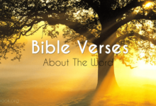 Gospel Verses about the Word – What Does the Bible Say?