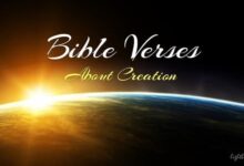 Gospel Verses about Creation VS – What Does the Bible Say?
