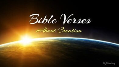 Gospel Verses about Creation VS – What Does the Bible Say?