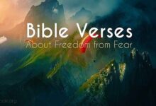 Bible Verses about Freedom from Fear - What Does the Bible Say