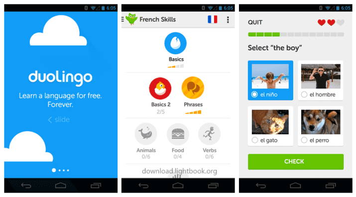 Duolingo Free Download 2024 for Windows PC and Mobile