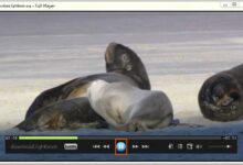 Full Player Free Download 2023 for Windows 10 and Mac