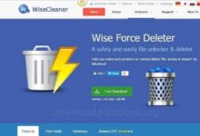 Download Wise Force Deleter to Remove Any Files From PC