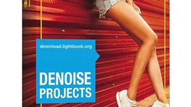 Download DENOISE ProjectsRemoves Image Defects Free