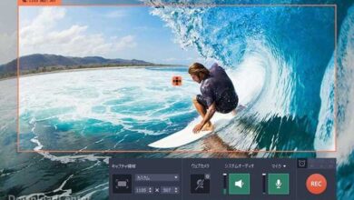 Download Movavi Video Suite - Design Video Clips for Windows